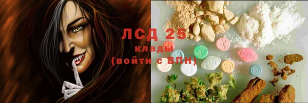 гидра Богородицк