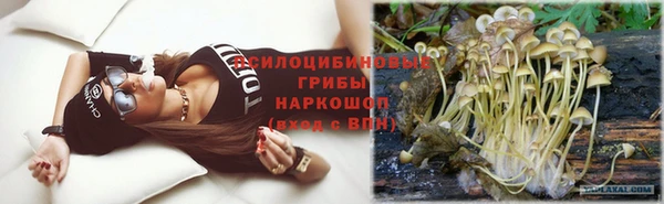 ПСИЛОЦИБИНОВЫЕ ГРИБЫ Беломорск