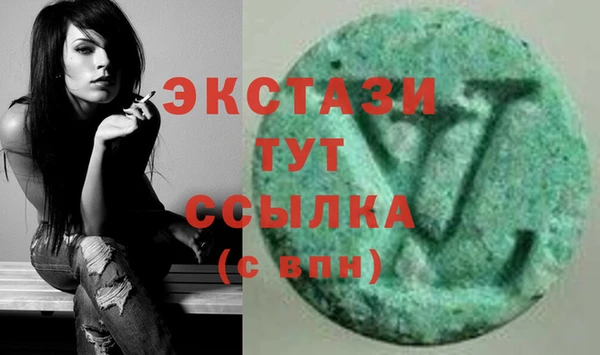 гидра Богородицк